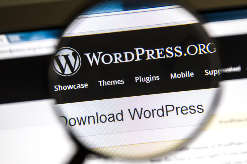 WordPress Premium Plugins